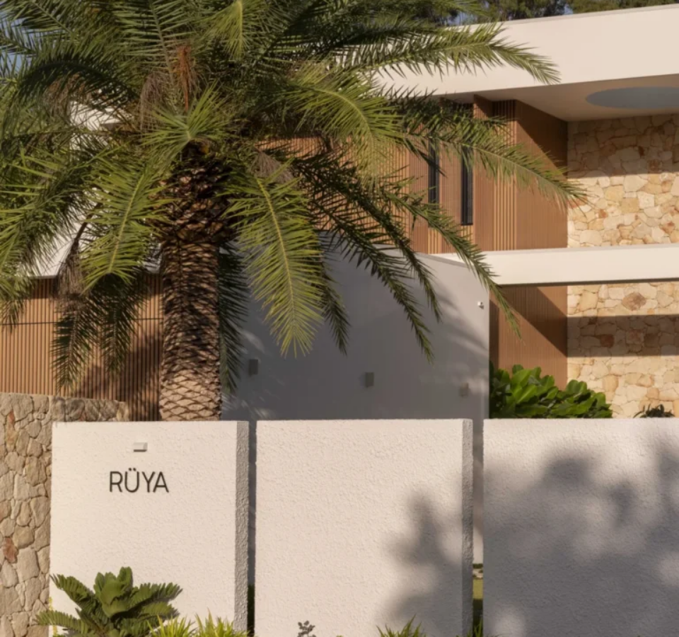 Ruya-BC-4
